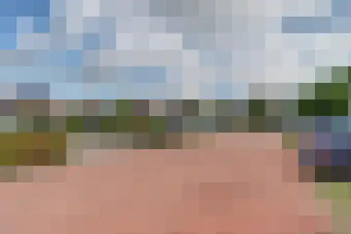 Voorhof 20 Leerdam thumbnail 47
