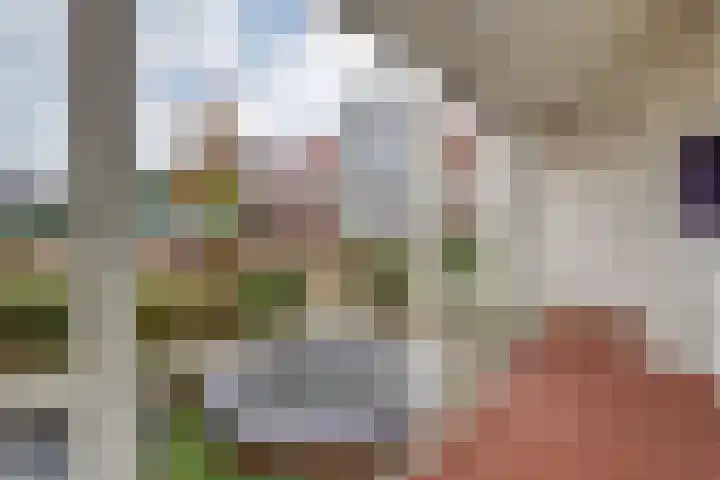 Voorhof 20 Leerdam thumbnail 7