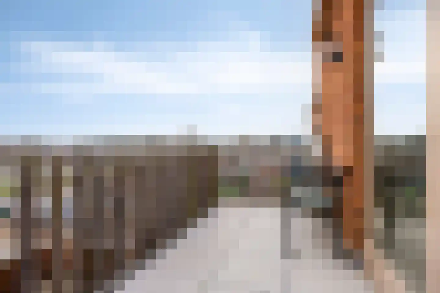 Voorhof 30 Nagele thumbnail 21