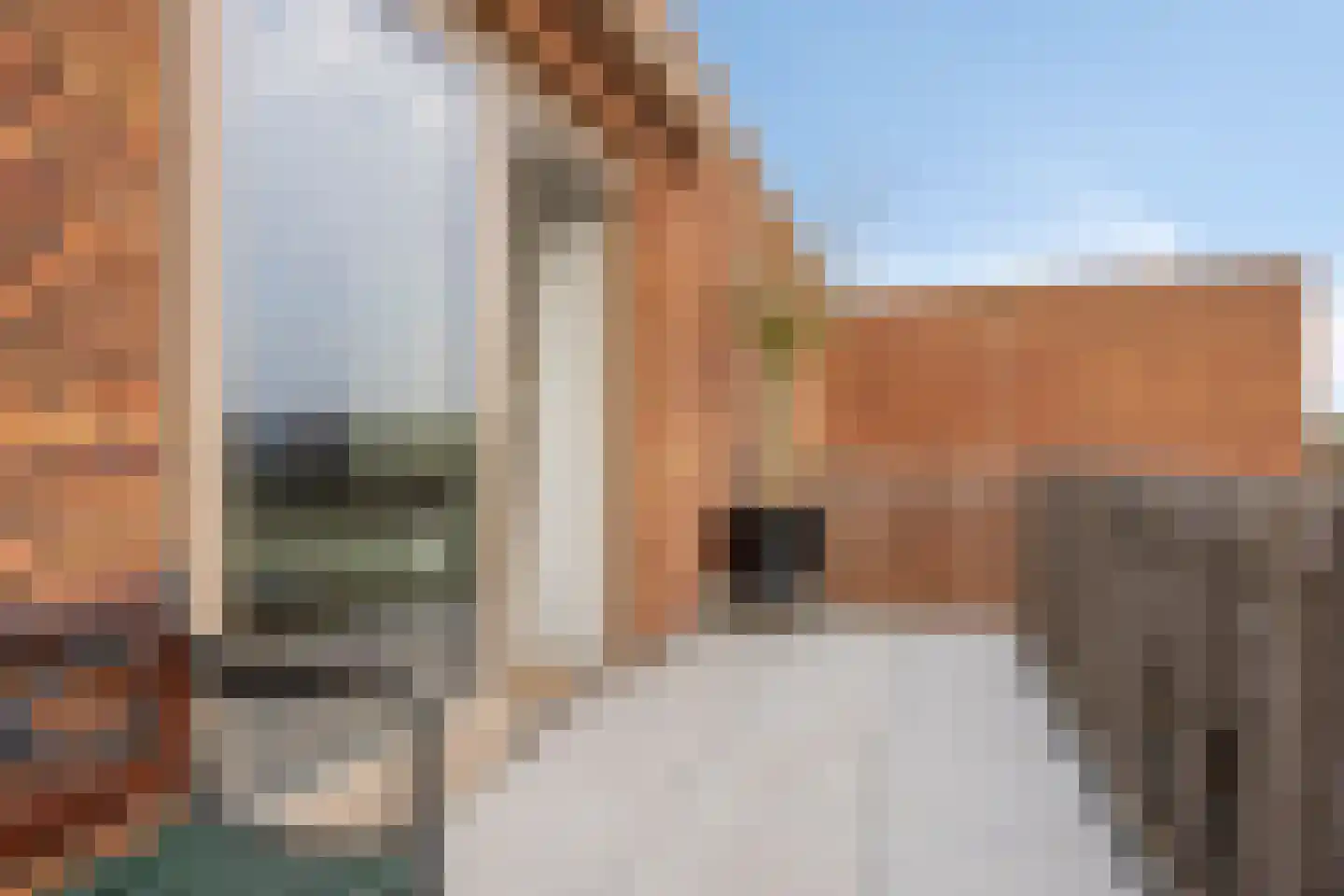 Voorhof 30 Nagele thumbnail 22