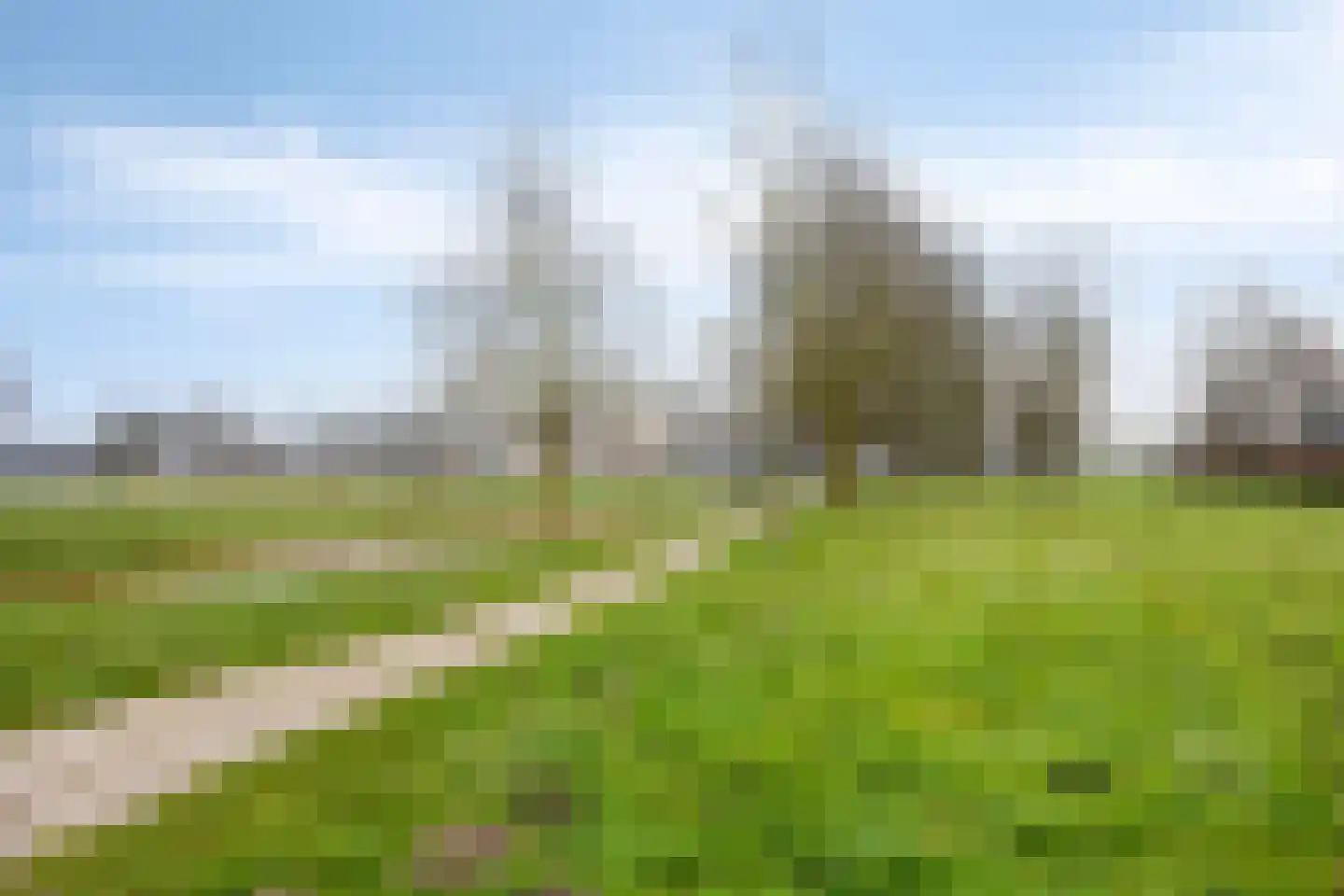 Voorhof 30 Nagele thumbnail 43