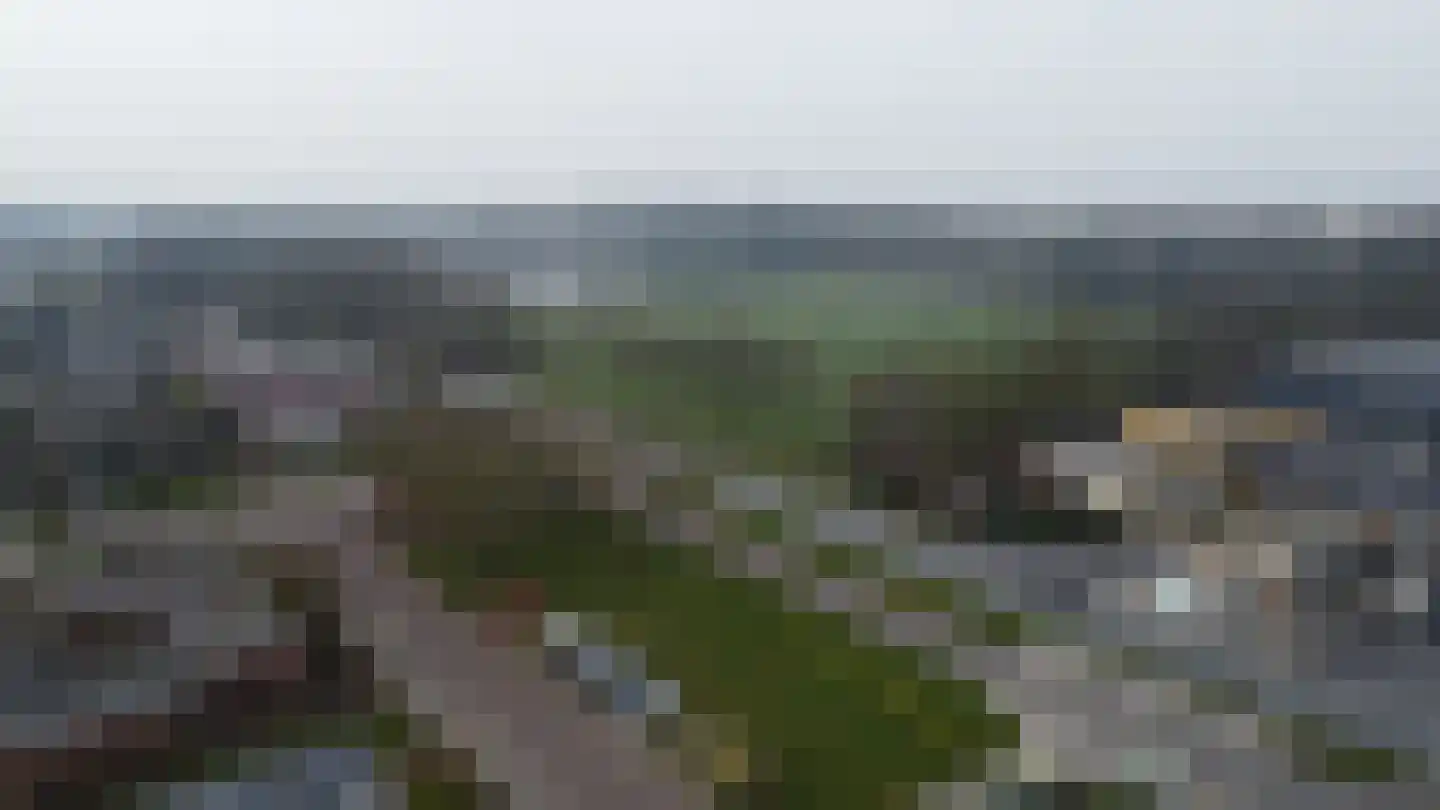 Voorhof 30 Nagele thumbnail 46