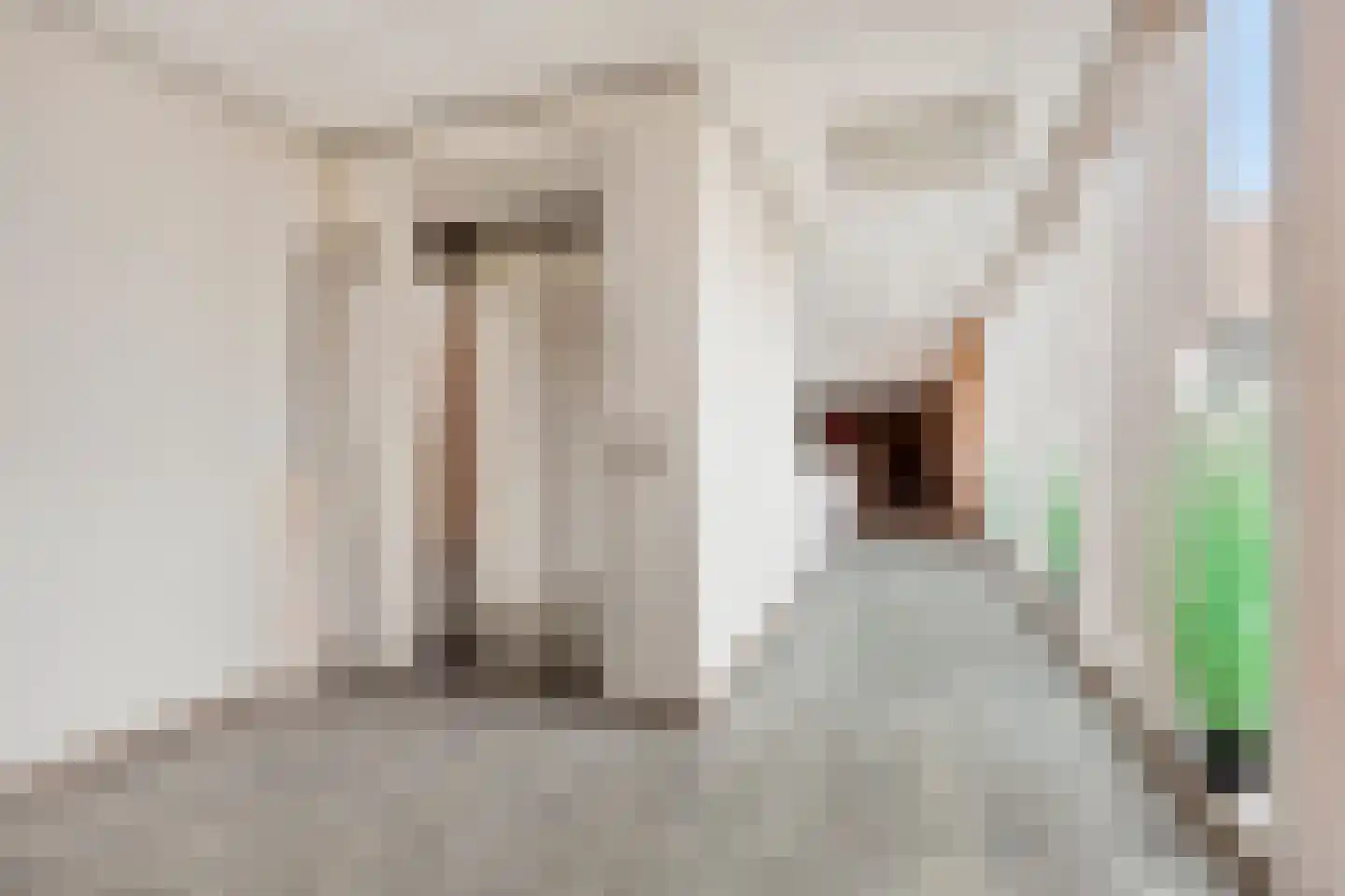Voorhof 30 Nagele thumbnail 7