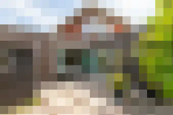 Voorhof 43 Lelystad thumbnail 34