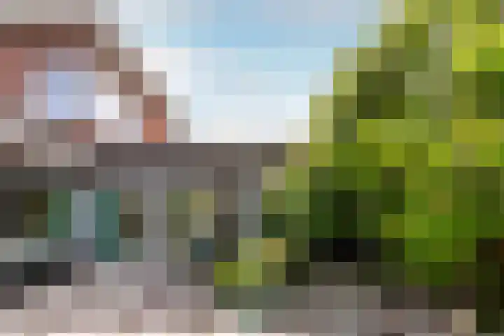 Voorhof 43 Lelystad thumbnail 6