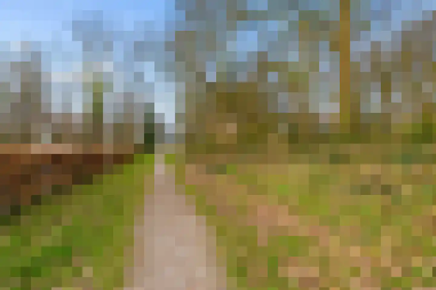 Voorhof 52 Lelystad thumbnail 33