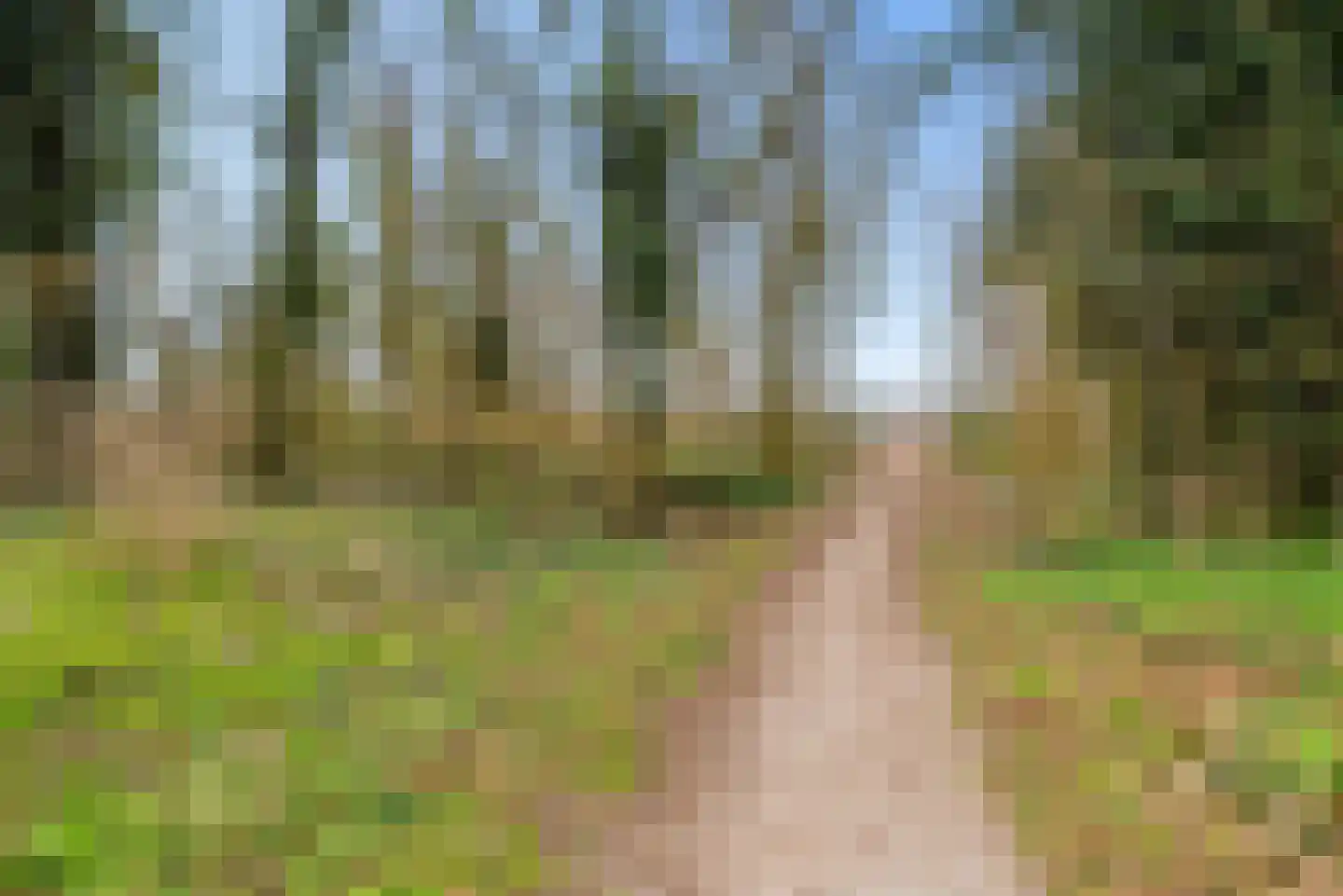 Voorhof 52 Lelystad thumbnail 35