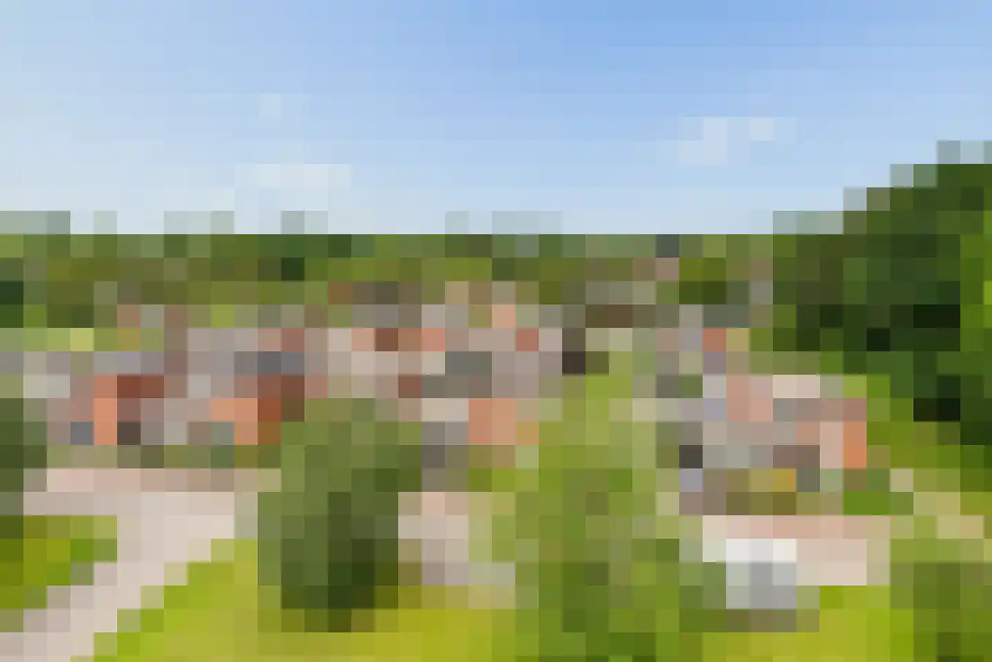 Voorhof 82 Lelystad thumbnail 30