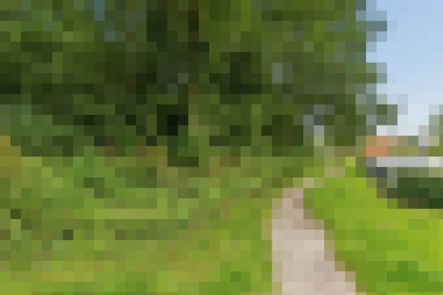 Voorhof 82 Lelystad thumbnail 33