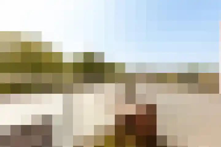 Voorhof 88 Lelystad thumbnail 18
