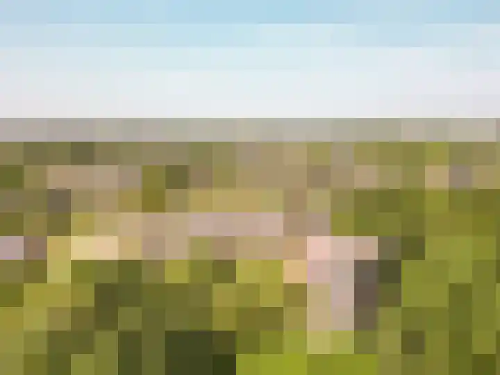 Voorhof 88 Lelystad thumbnail 37