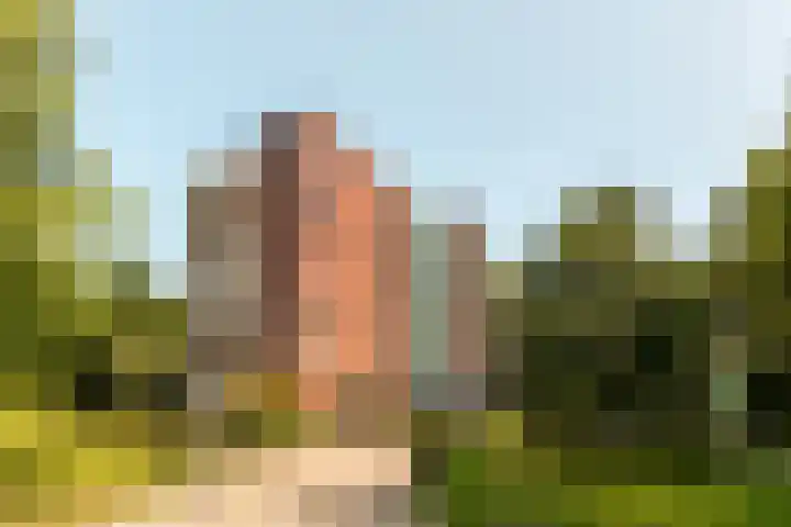 Voorhof 88 Lelystad thumbnail 47