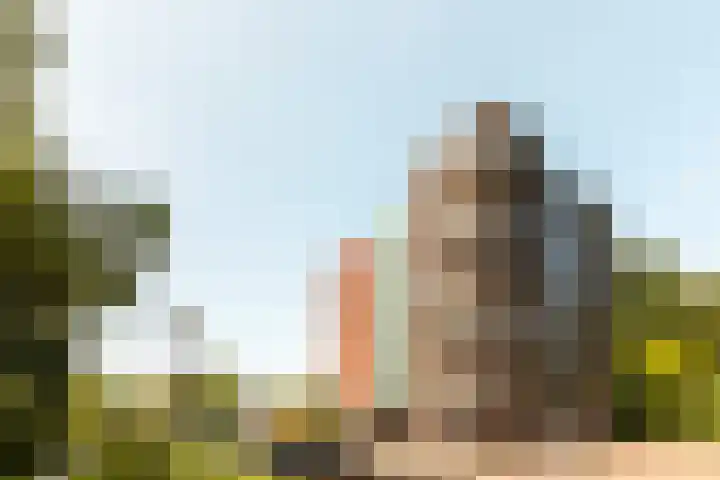 Voorhof 88 Lelystad thumbnail 8