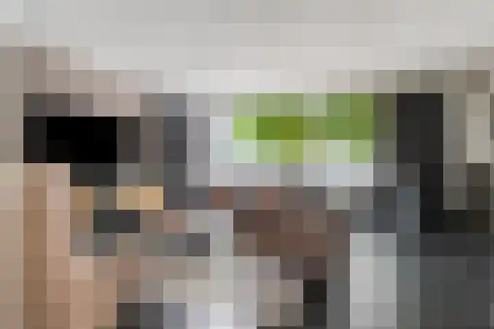 Voorhof 9 Berghem thumbnail 10