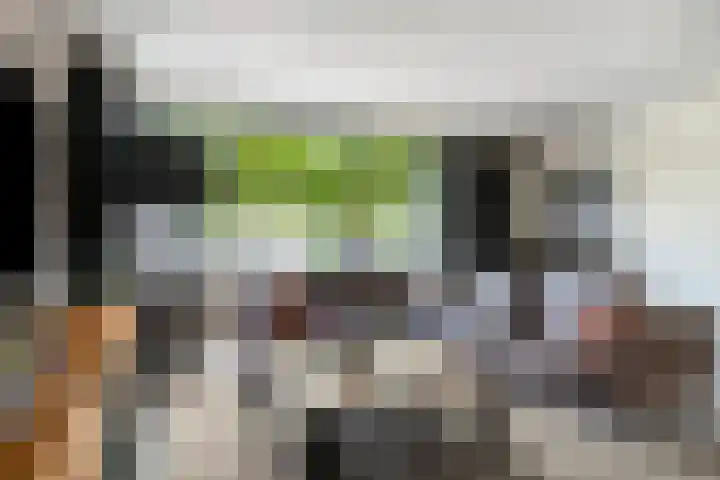 Voorhof 9 Berghem thumbnail 11