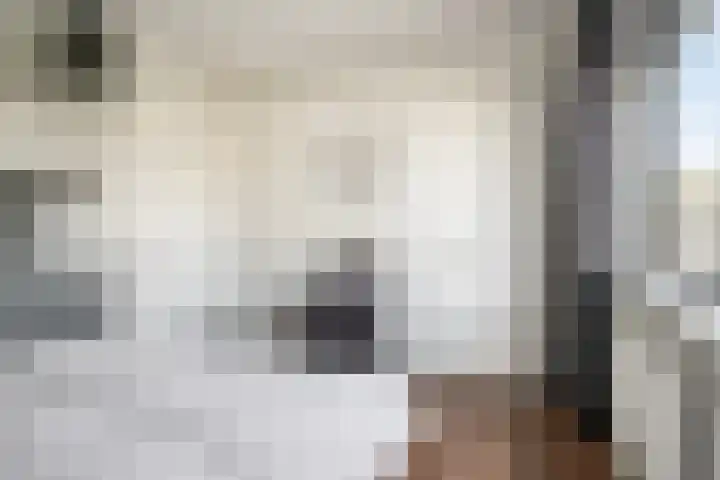 Voorhof 9 Berghem thumbnail 20