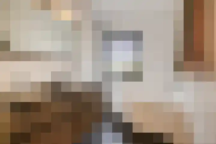 Voorhof 9 Berghem thumbnail 21