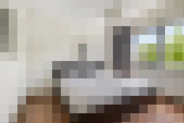 Voorhof 9 Berghem thumbnail 24
