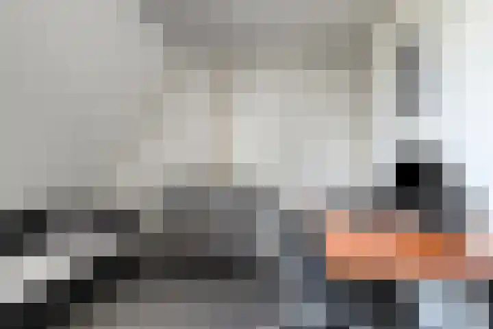 Voorhof 9 Berghem thumbnail 28