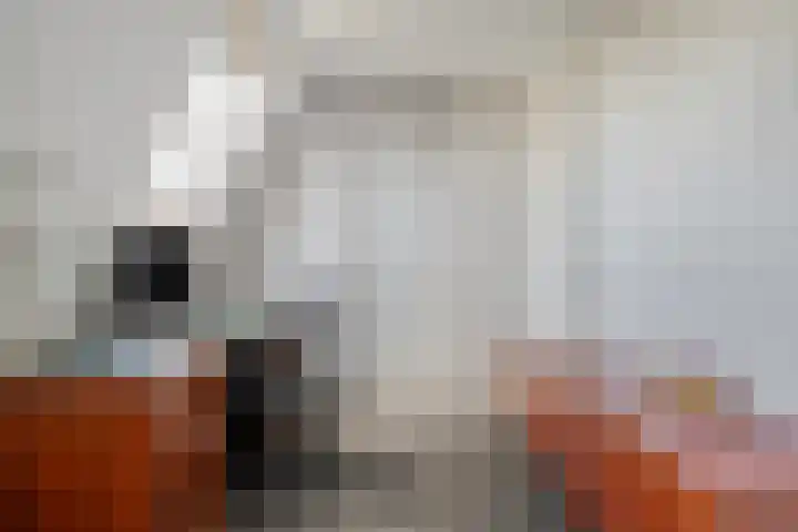 Voorhof 9 Berghem thumbnail 30