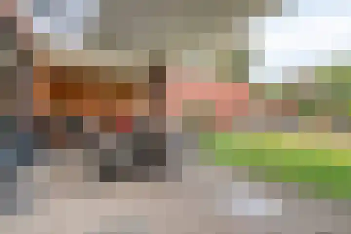 Voorhof 9 Berghem thumbnail 32