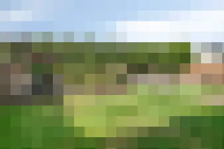 Voorhof 9 Berghem thumbnail 33