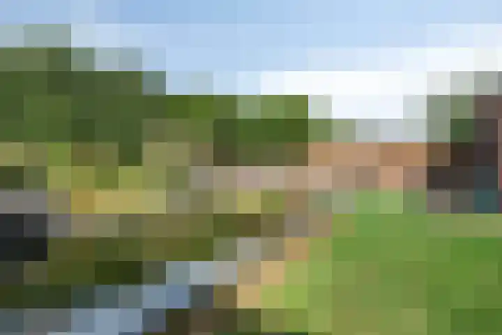 Voorhof 9 Berghem thumbnail 34