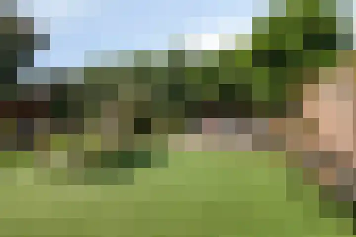 Voorhof 9 Berghem thumbnail 35