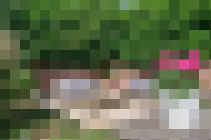 Voorhof 9 Berghem thumbnail 36