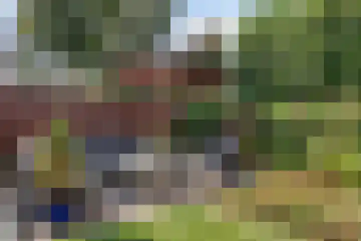 Voorhof 9 Berghem thumbnail 37