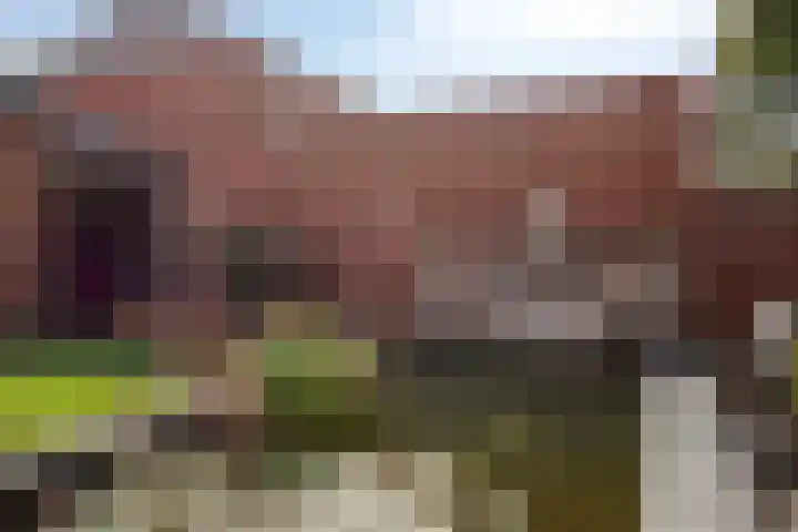 Voorhof 9 Berghem thumbnail 38