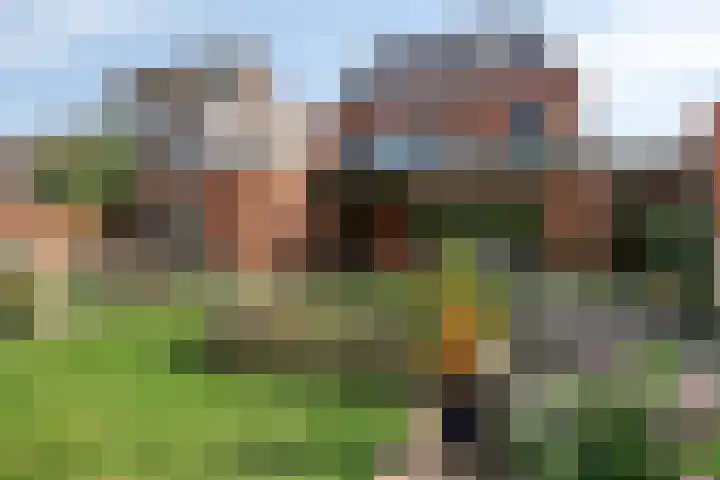 Voorhof 9 Berghem thumbnail 39