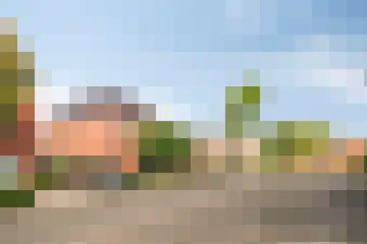 Voorhof 9 Berghem thumbnail 40
