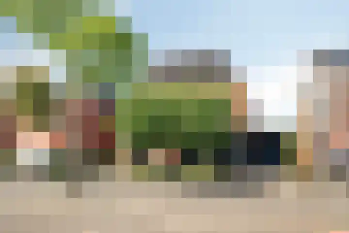 Voorhof 9 Berghem thumbnail 41