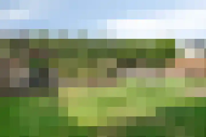 Voorhof 9 Berghem thumbnail 6