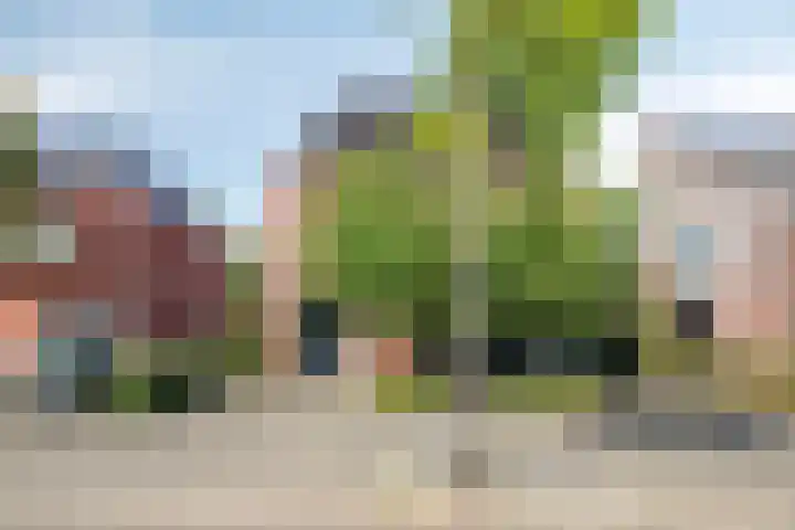 Voorhof 9 Berghem thumbnail 7