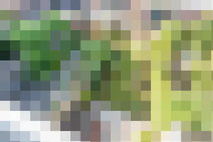 Voorhorst 53 Deventer thumbnail 42