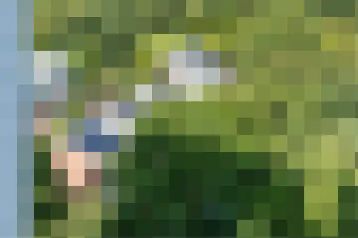 Voorhorst 53 Deventer thumbnail 43