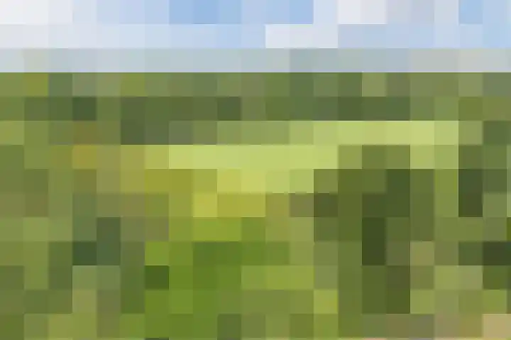 Voorhorst 53 Deventer thumbnail 44