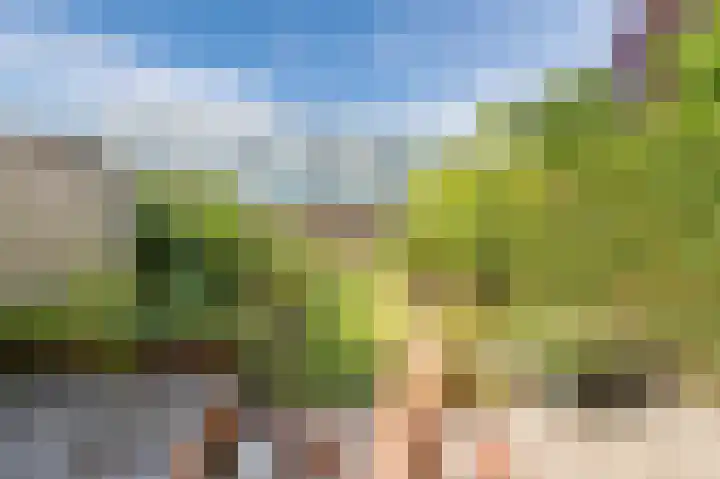 Voorhorst 53 Deventer thumbnail 46