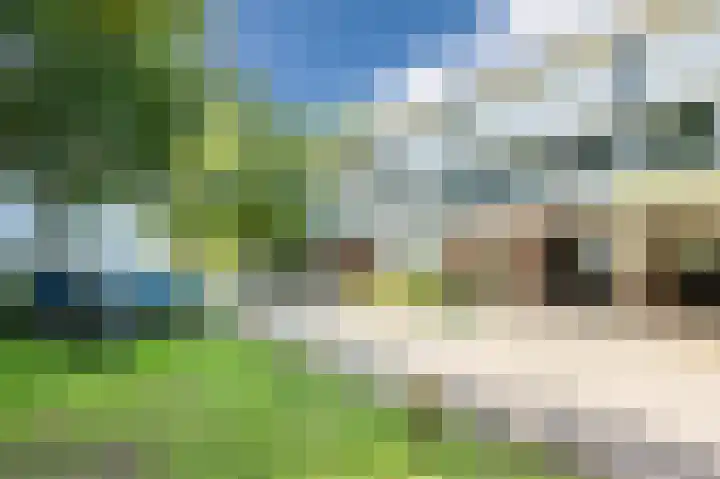 Voorhorst 53 Deventer thumbnail 52