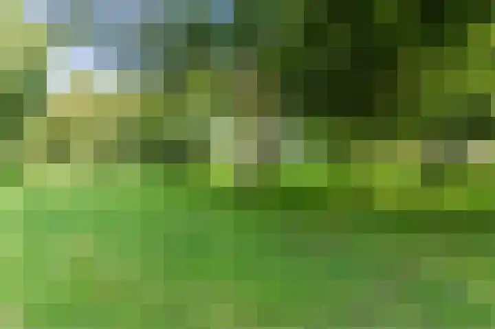 Voorhorst 53 Deventer thumbnail 54