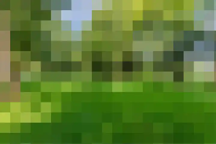 Voorhorst 53 Deventer thumbnail 55