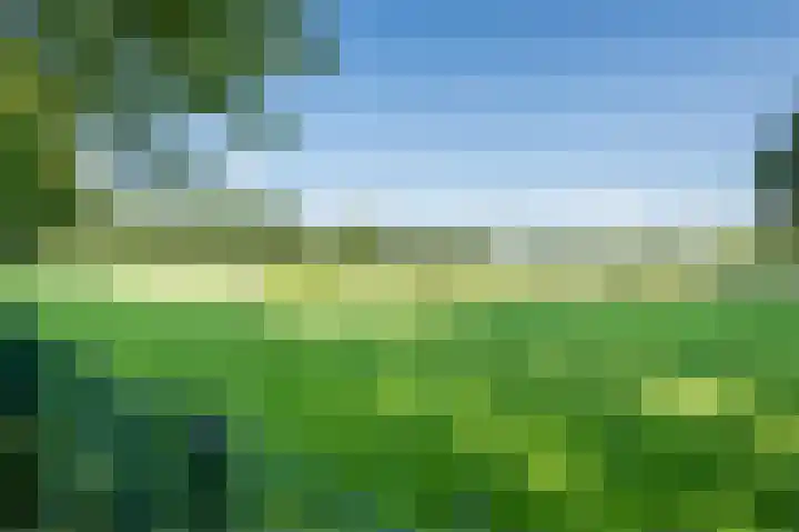 Voorhorst 53 Deventer thumbnail 56