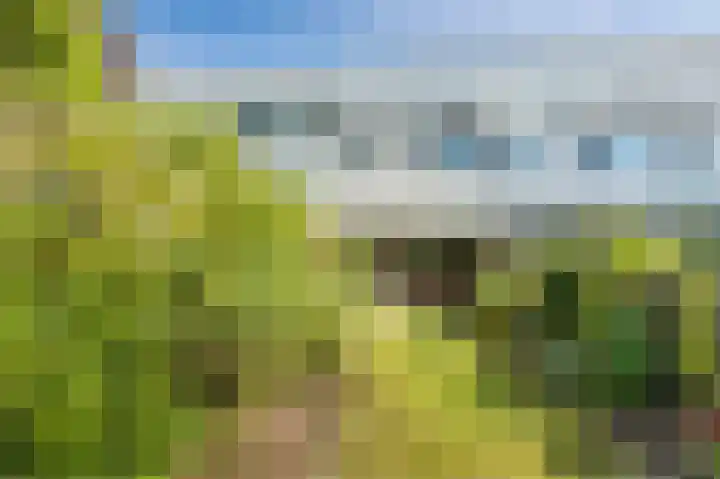 Voorhorst 53 Deventer thumbnail 6