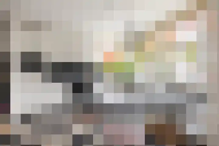 Voorhorsterbrink 3 Diepenveen thumbnail 11