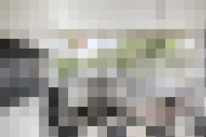 Voorhorsterbrink 3 Diepenveen thumbnail 12