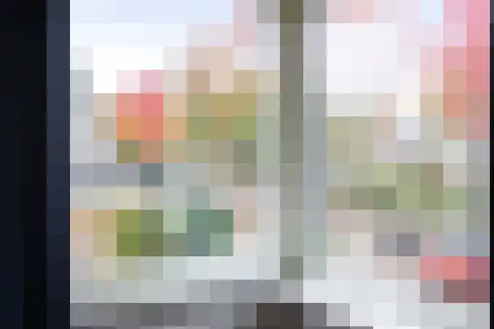 Voorhorsterbrink 3 Diepenveen thumbnail 20