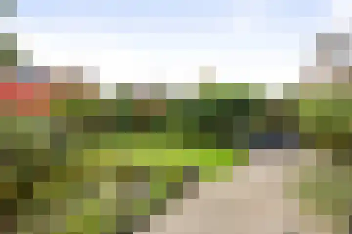Voorhorsterbrink 3 Diepenveen thumbnail 27