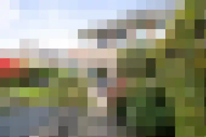 Voorhorsterbrink 3 Diepenveen thumbnail 28